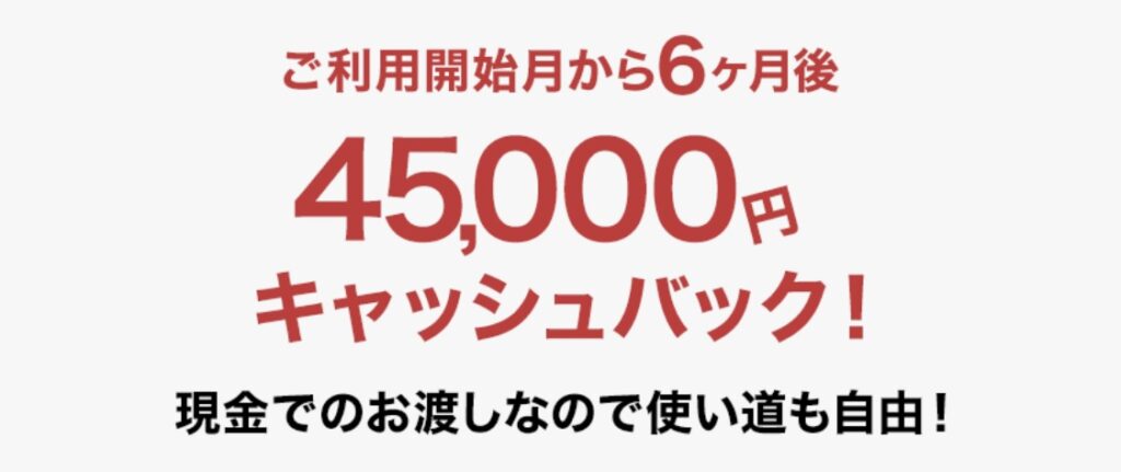 45,000円キャッシュバック